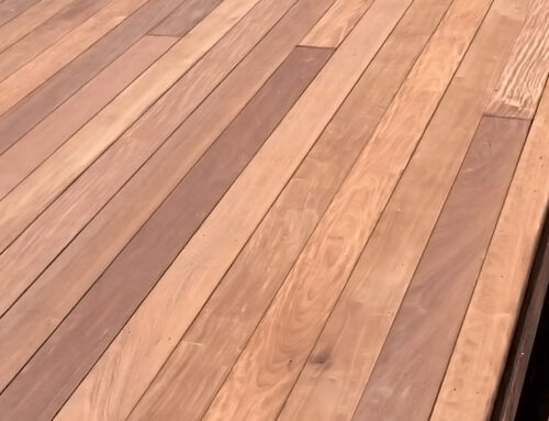 Everything You Need to Know About Douglas Fir Decking